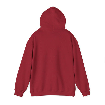 Tex-Mex Capitol Unisex Heavy Blend™ Hooded Sweatshirt (Assorted Colors)