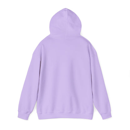 Tex-Mex Capitol Unisex Heavy Blend™ Hooded Sweatshirt (Assorted Colors)