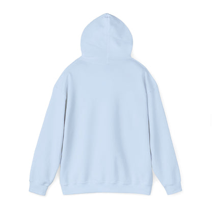 Tex-Mex Capitol Unisex Heavy Blend™ Hooded Sweatshirt (Assorted Colors)